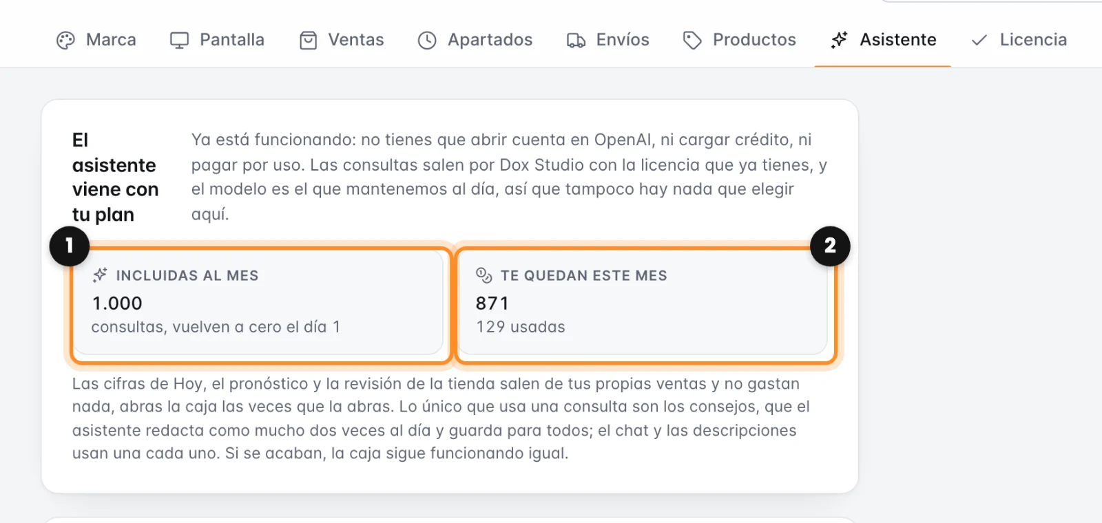 La pestaña Asistente de los ajustes, con las consultas incluidas al mes y las que quedan este mes marcadas