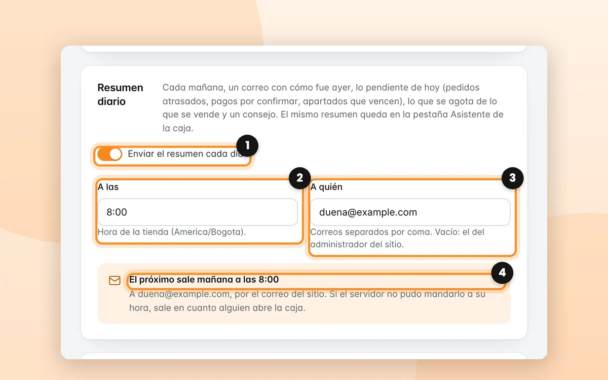 El resumen diario por correo
