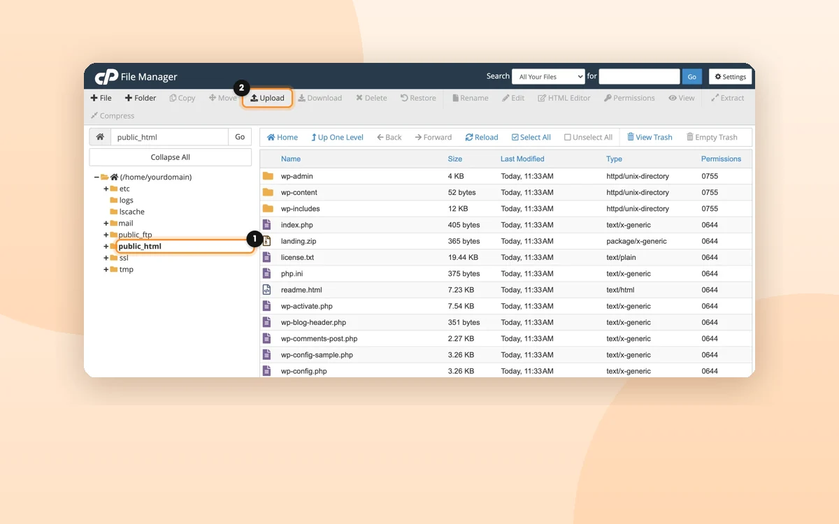 Upload and manage your files: File Manager and FTP