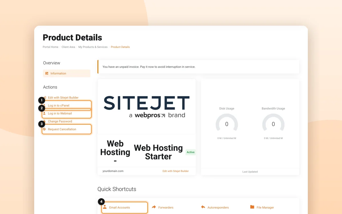 Your client area: log in, see your services and open cPanel