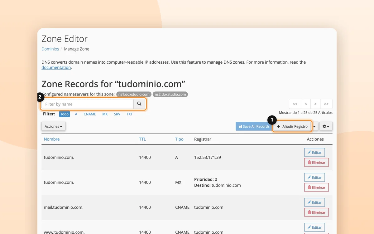 Editar tus registros DNS (para Google, Meta, Microsoft…)